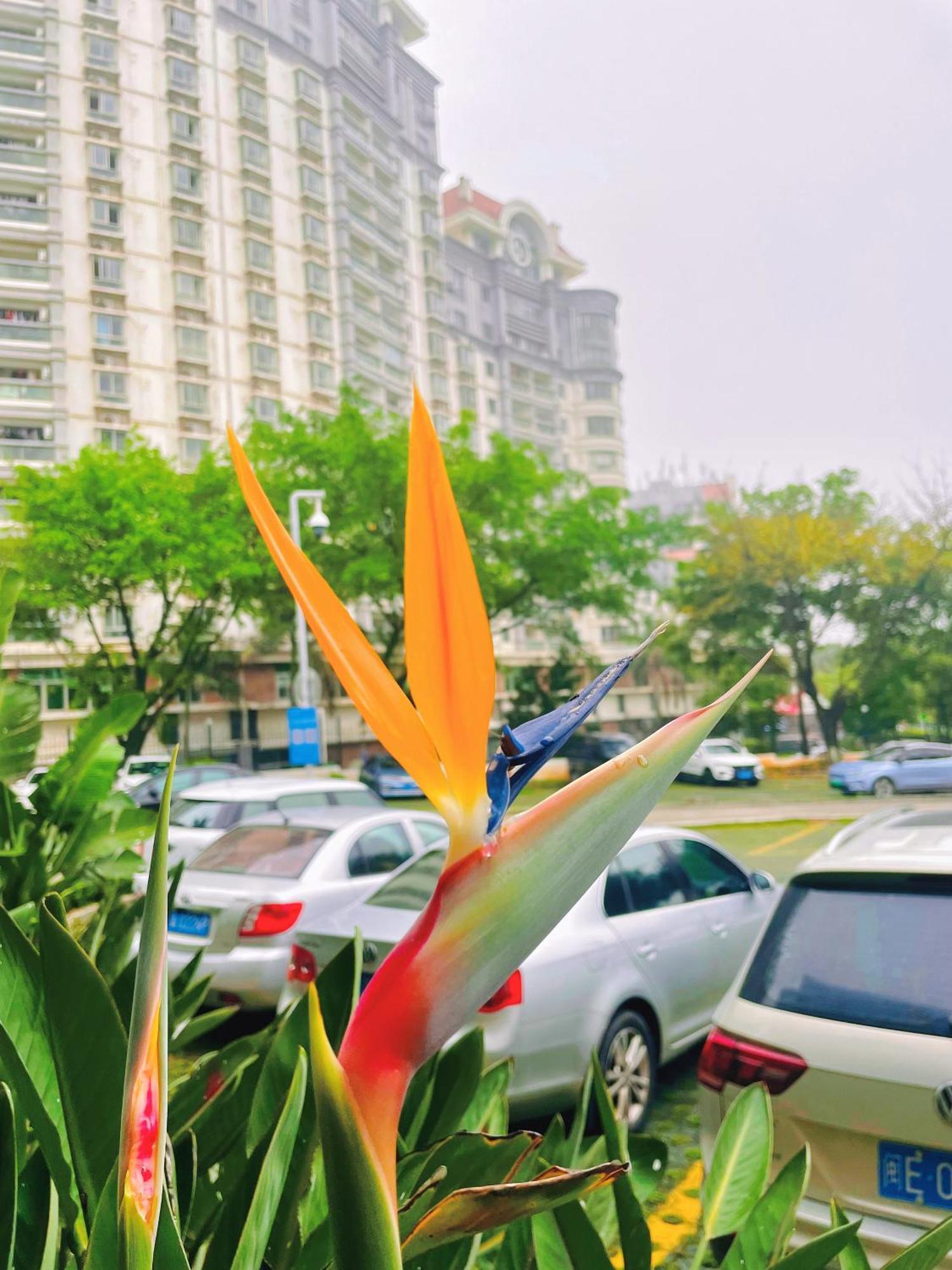 Xiamen Xiang An Yi Hao Hotel Ngoại thất bức ảnh