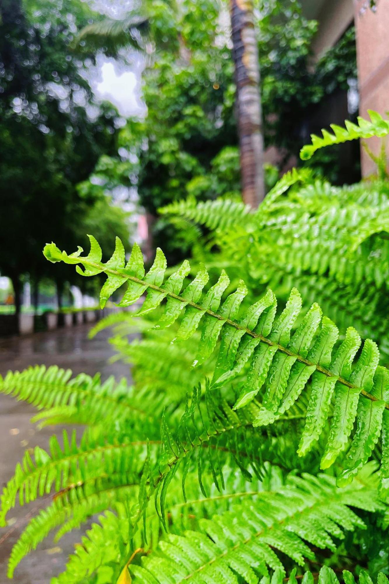 Xiamen Xiang An Yi Hao Hotel Ngoại thất bức ảnh